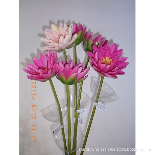 Waterlily Flower Stem